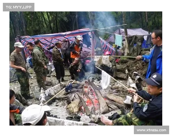 雷主208攻略：解锁无人区，开启新高度